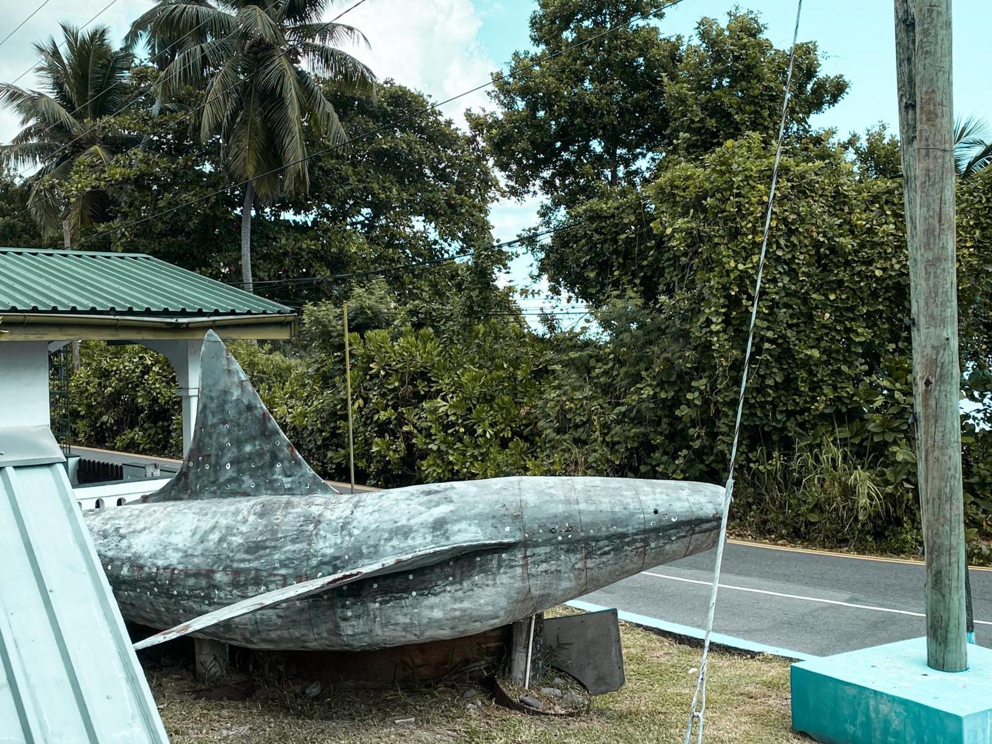 Divers Lodge Guest House Beau Vallon  Zewnętrze zdjęcie