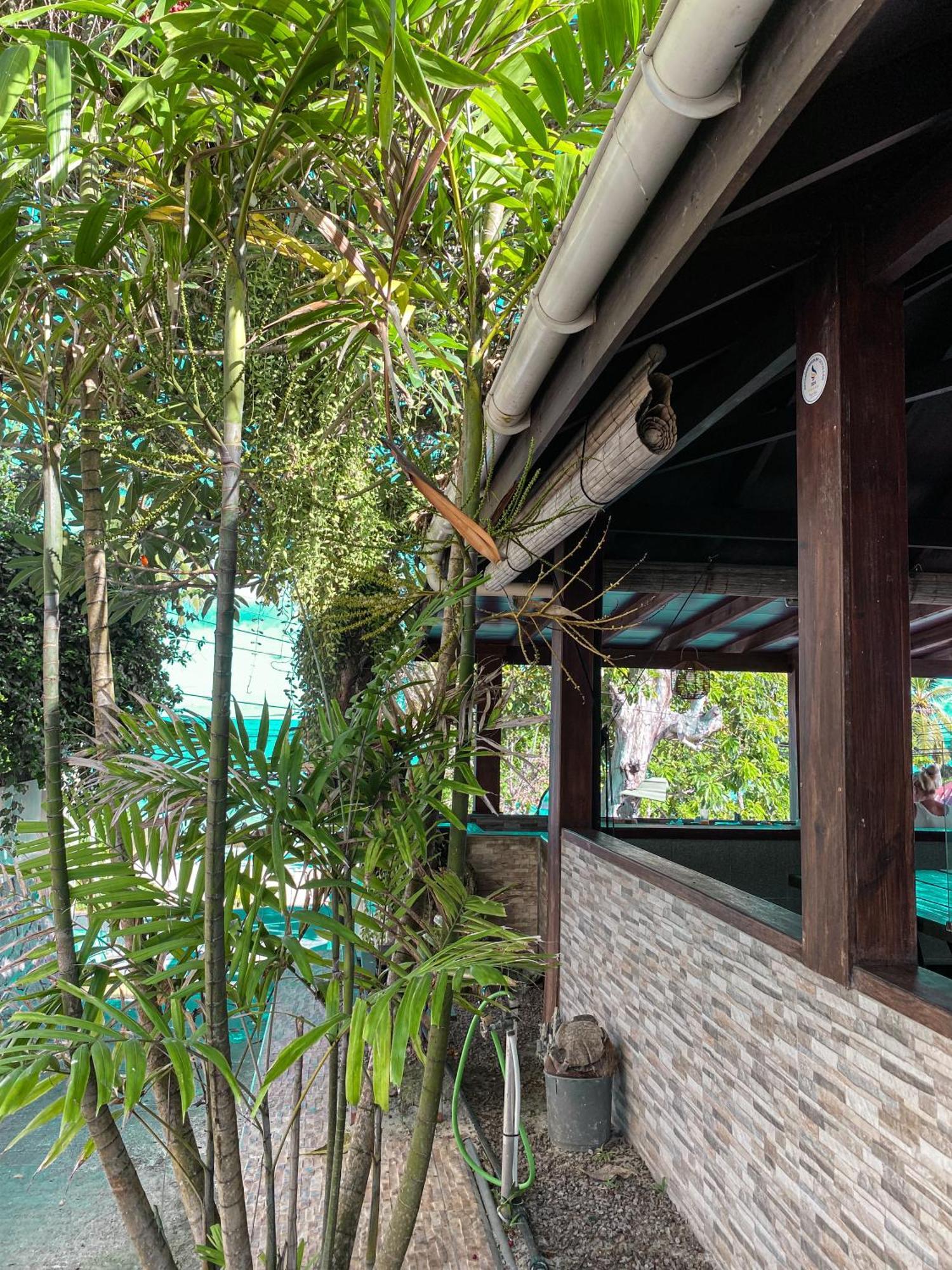 Divers Lodge Guest House Beau Vallon  Zewnętrze zdjęcie