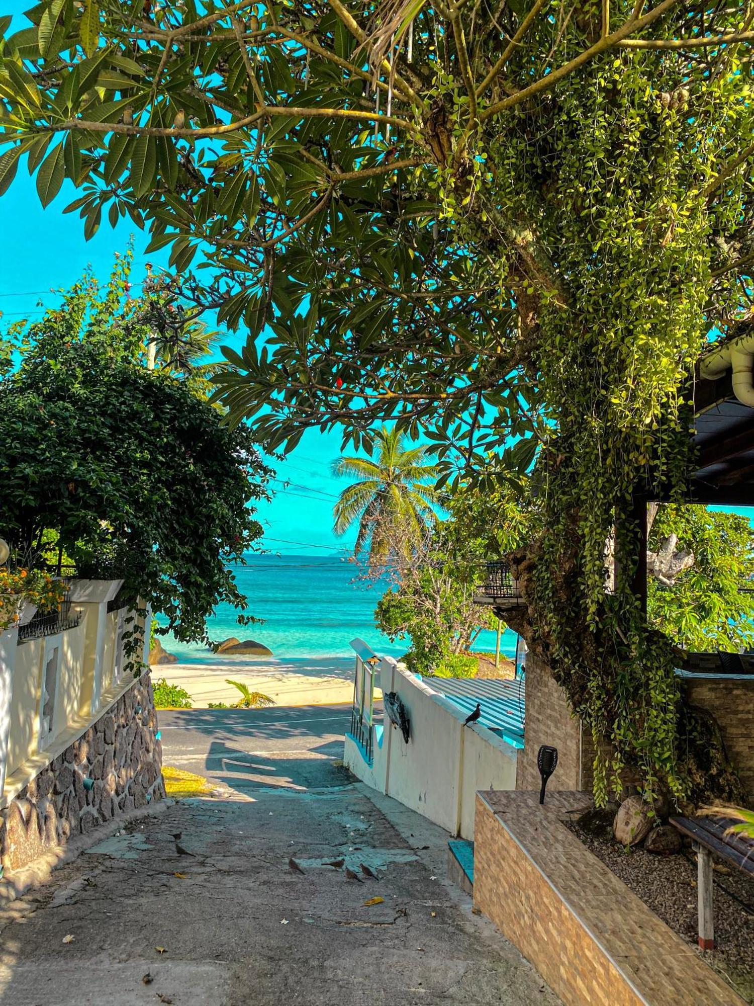 Divers Lodge Guest House Beau Vallon  Zewnętrze zdjęcie